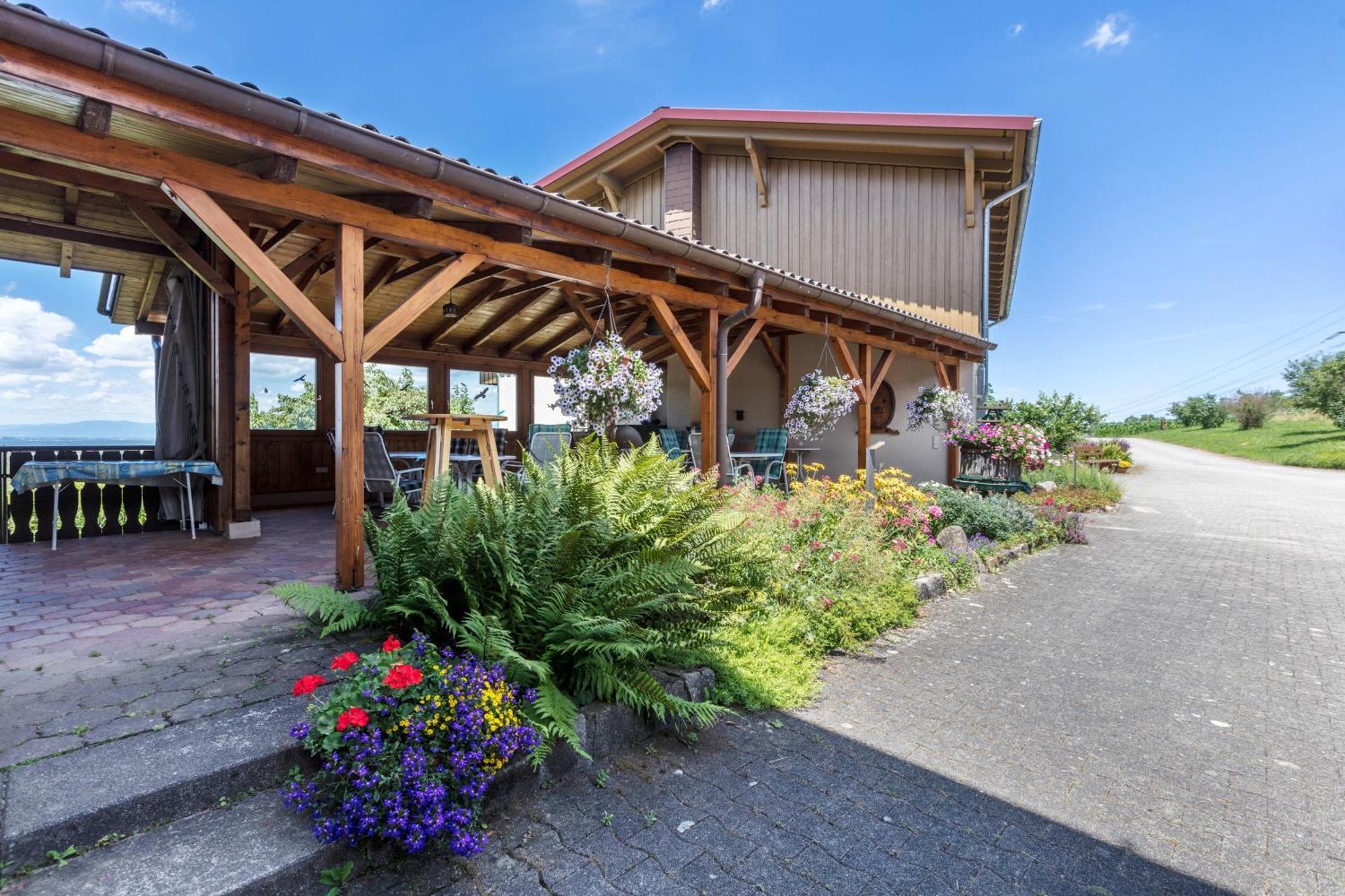 Apartament Pappelhof Bad Bellingen Zewnętrze zdjęcie