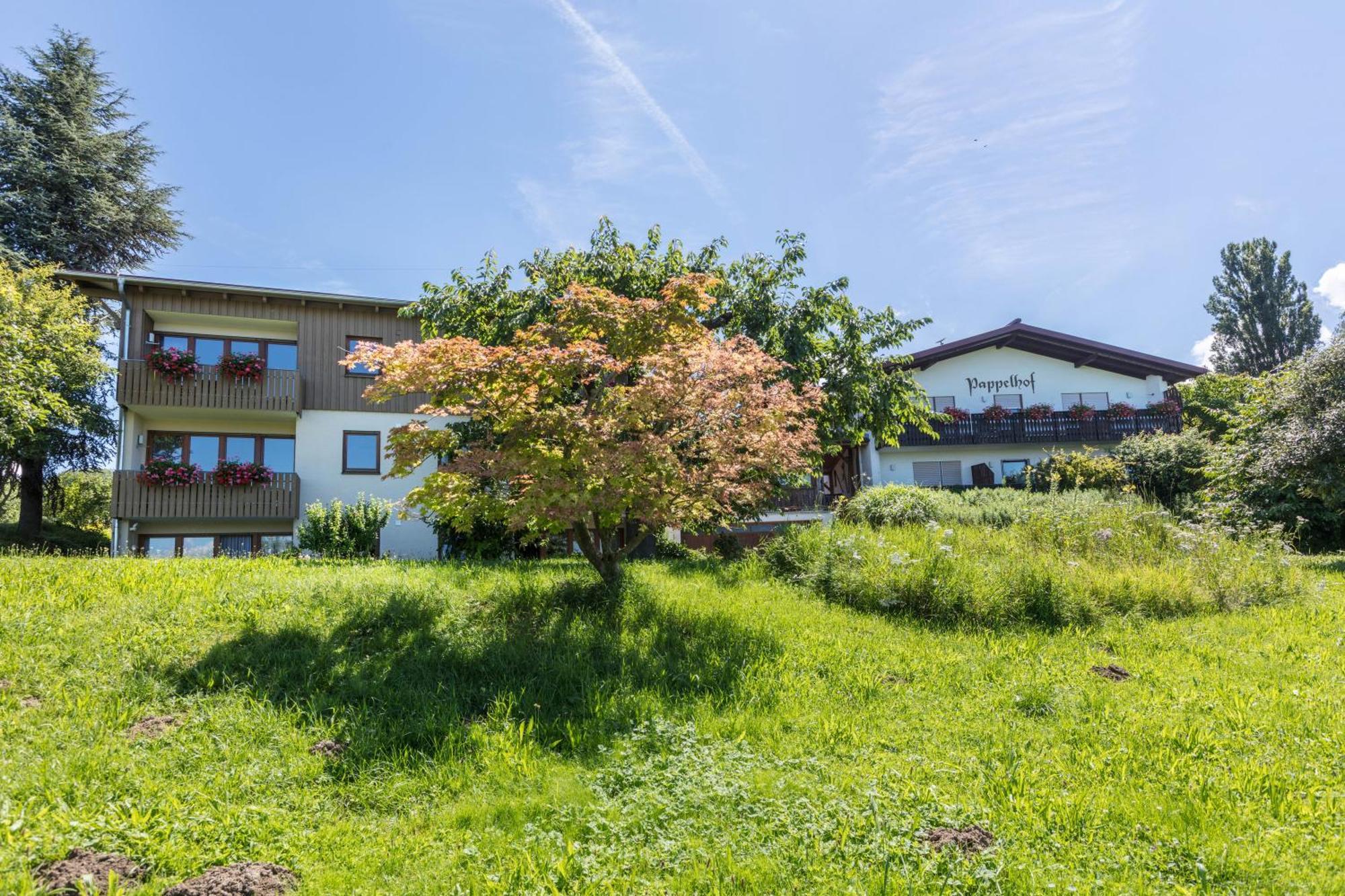 Apartament Pappelhof Bad Bellingen Zewnętrze zdjęcie