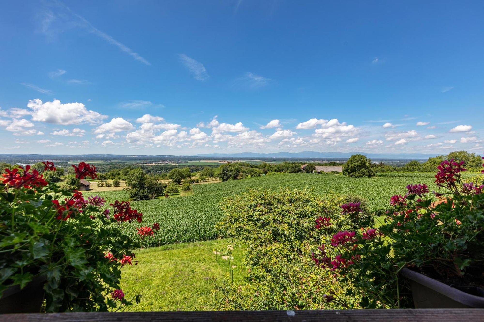 Apartament Pappelhof Bad Bellingen Zewnętrze zdjęcie