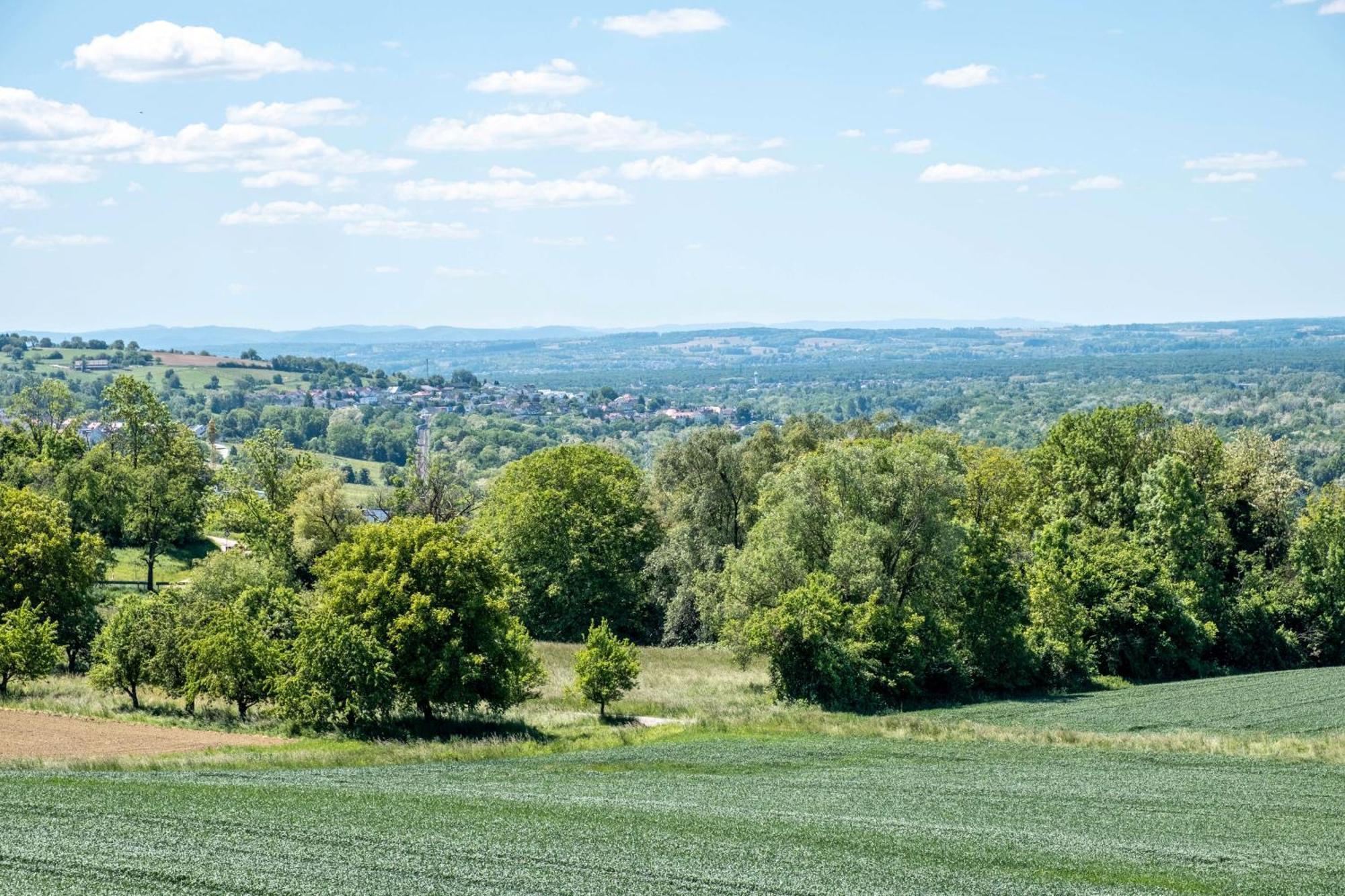 Apartament Pappelhof Bad Bellingen Zewnętrze zdjęcie